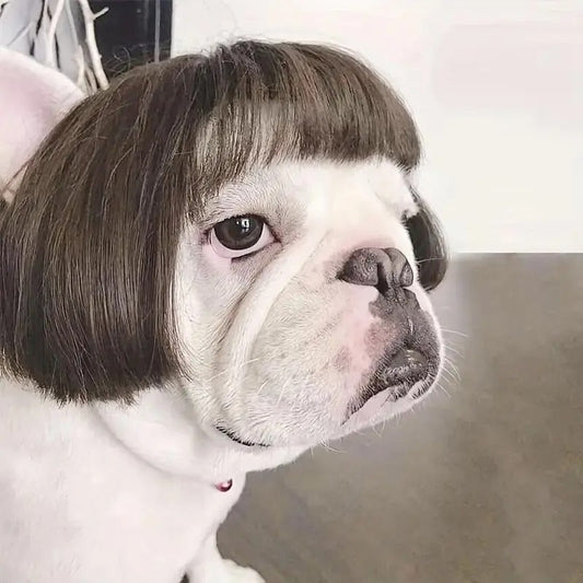 Customizable Trim-to-Fit Pet Wig