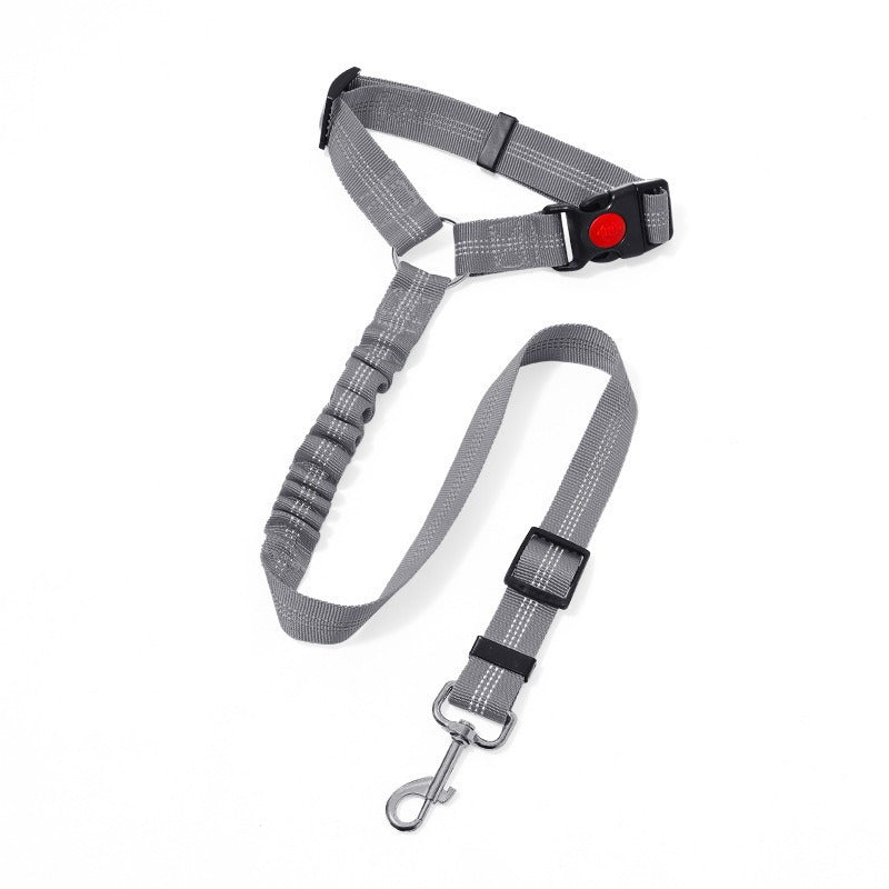 Shock-Absorbing Dog Car Restraint