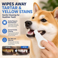Nano Sponge Pet Tooth Cleaner
