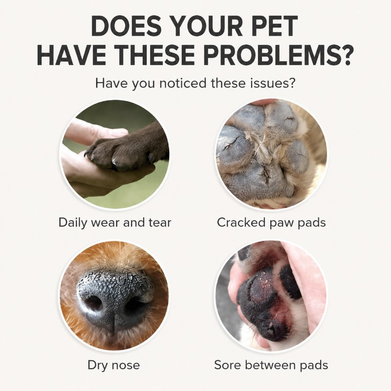 Botanical Pet Paw Balm