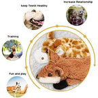 Stuffing-Free Squeaky Dog Toys