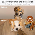 Stuffing-Free Squeaky Dog Toys
