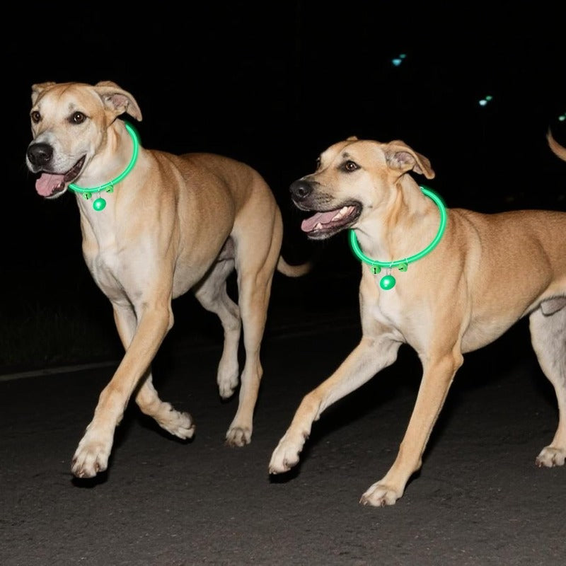 LED Dog Safety Collar