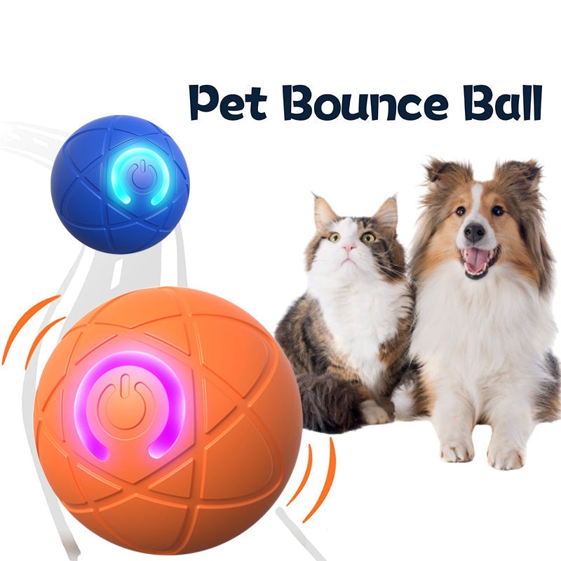 Interactive USB‑Rechargeable Bouncing Ball Toy for Dogs
