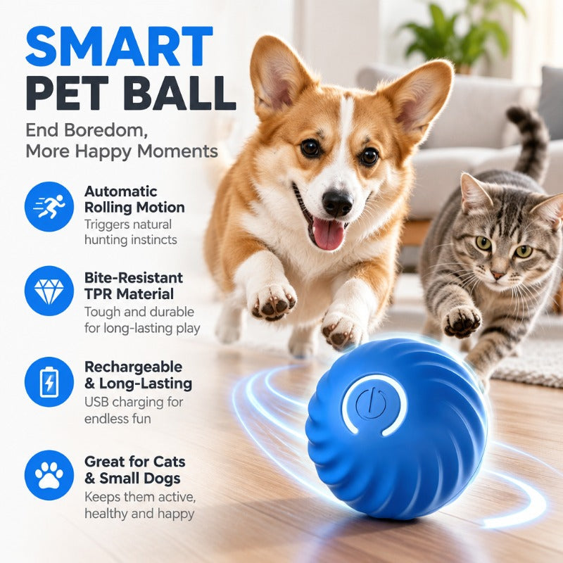 Electric Rolling Pet Toy Ball