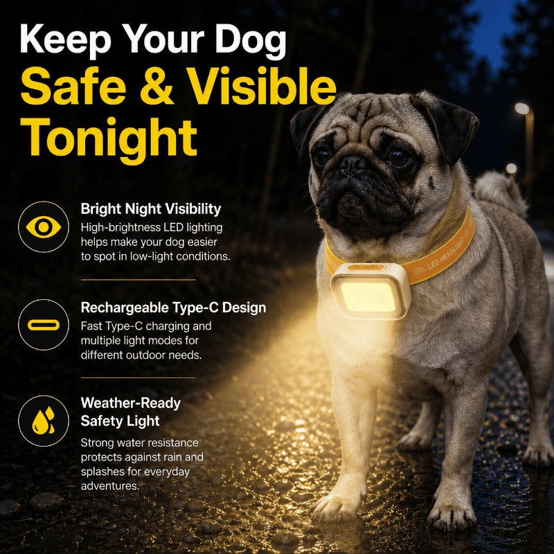 Weatherproof Dog Collar Warning Light